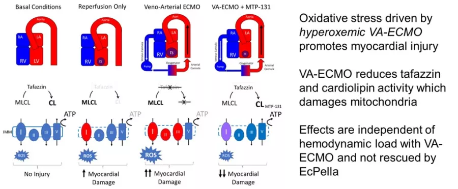 Kapur Lab Figure 2