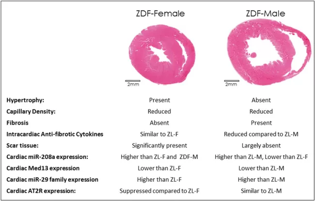 Pulakat Lab Figure 1